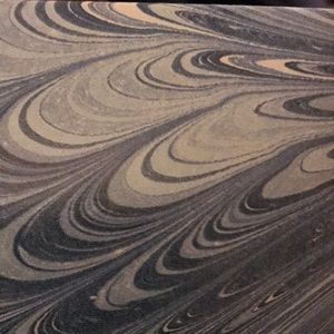 Meet your Posher, Karri